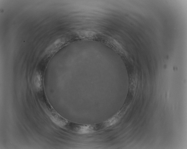 X0000085250130200703091308