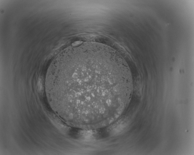 X0000085250131200703091308