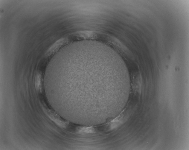 X0000085250132200703091308