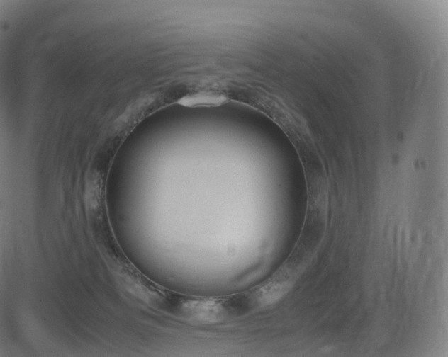 X0000085250133200703091308