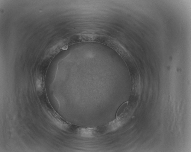 X0000085250134200703091308