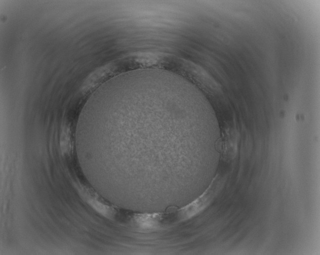 X0000085250136200703091307