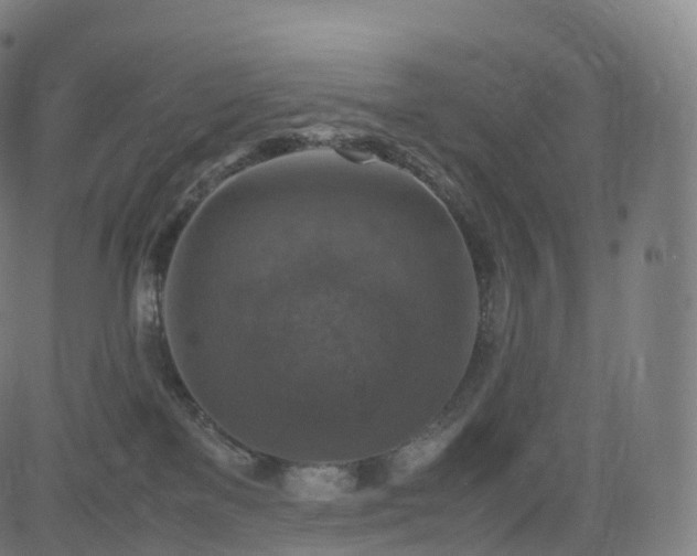 X0000085250137200703091307