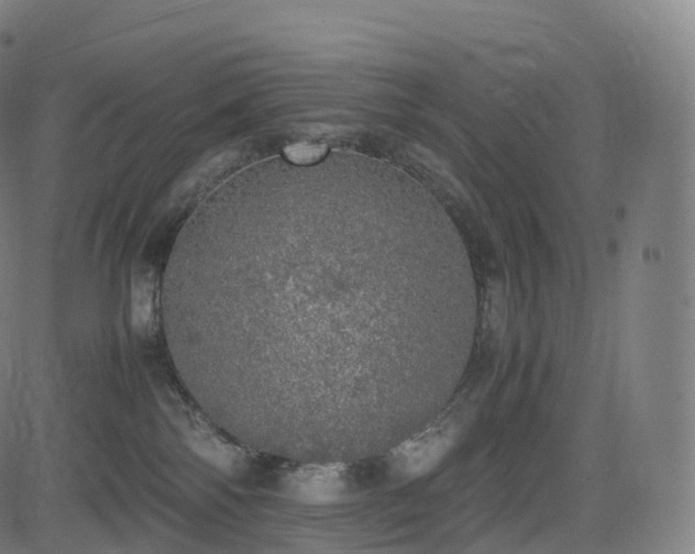 X0000085250138200703091307