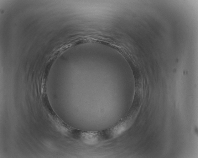 X0000085250139200703091307