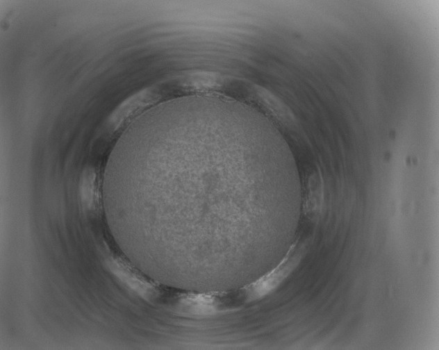 X0000085250140200703091307