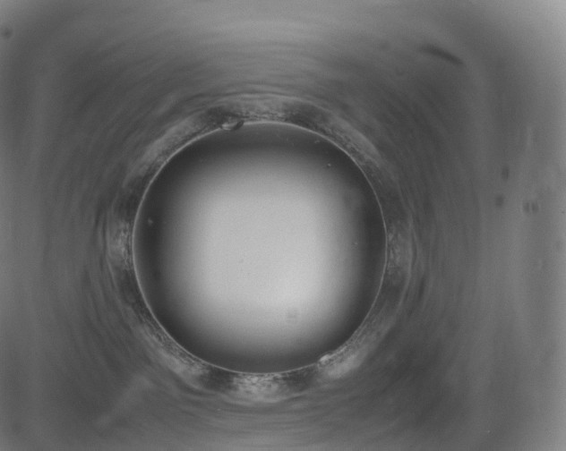 X0000085250141200703091307