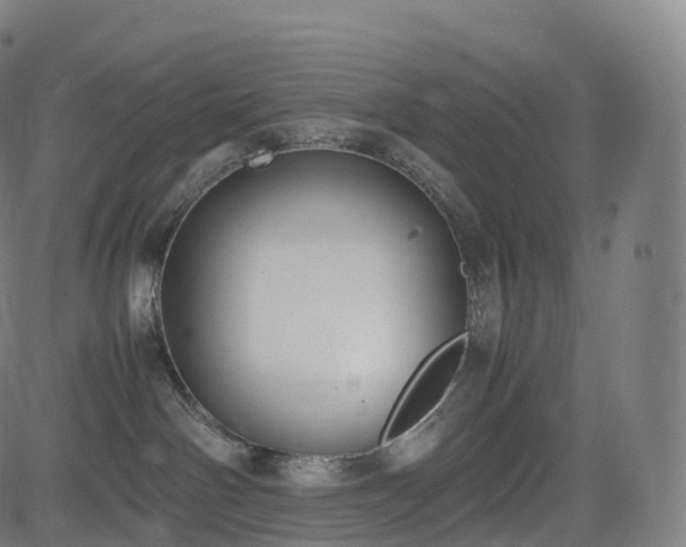 X0000085250142200703091307