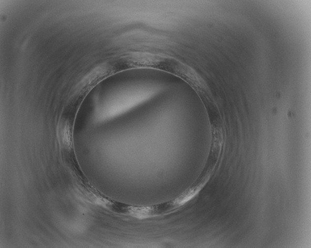 X0000085250143200703091307