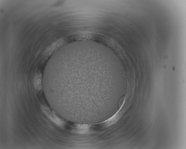 X0000085250144200703091307