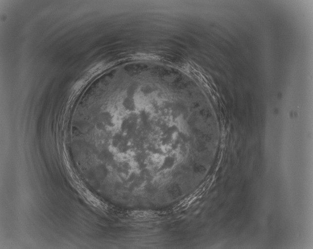 X0000085250145200703091307