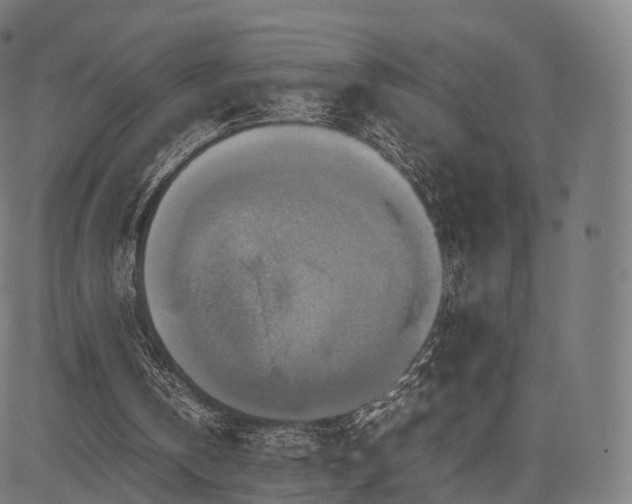 X0000085250146200703091307