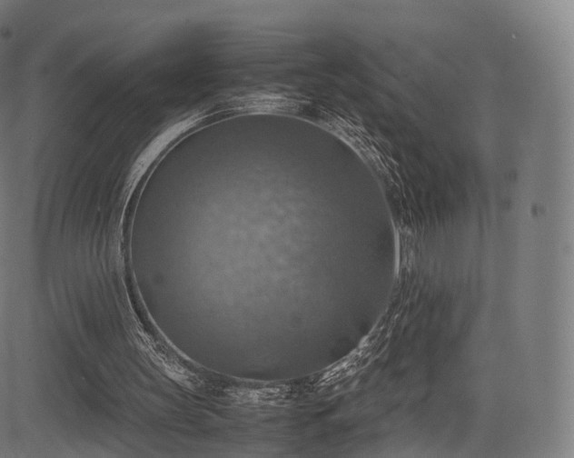 X0000085250147200703091307