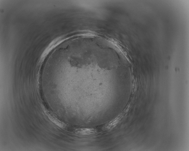 X0000085250151200703091307