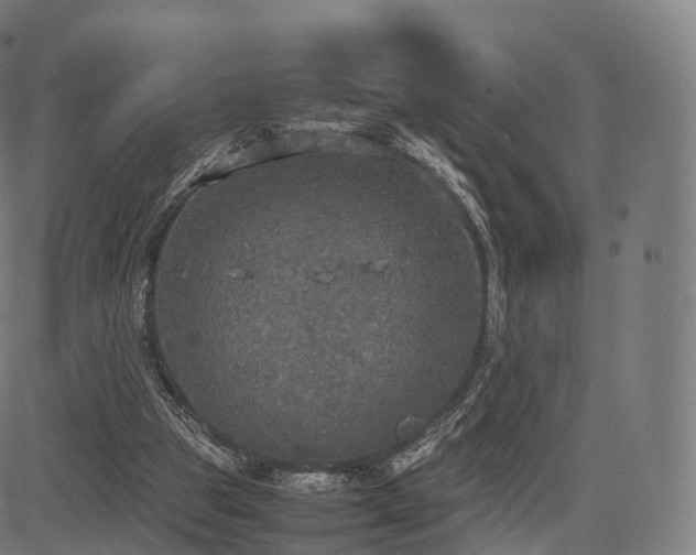 X0000085250153200703091307