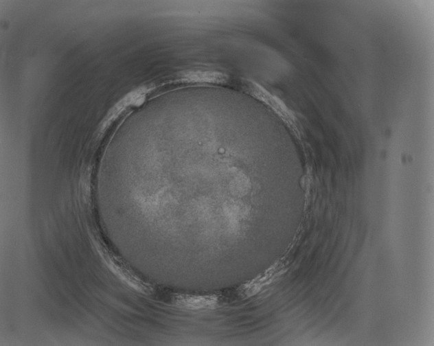 X0000085250155200703091307