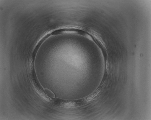 X0000085250156200703091307