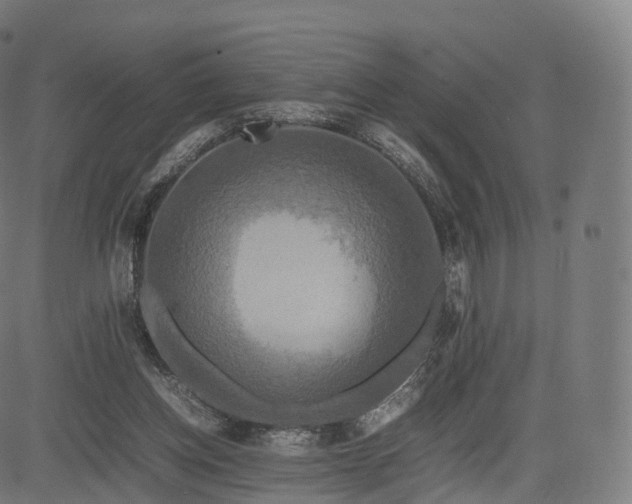 X0000085250158200703091307