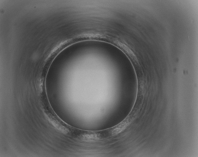 X0000085250160200703091307