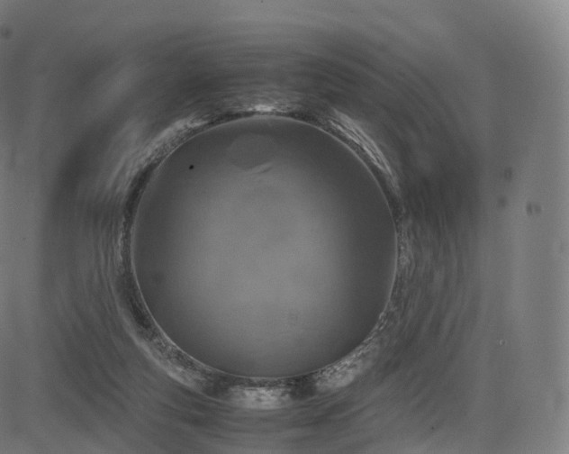 X0000085250163200703091307