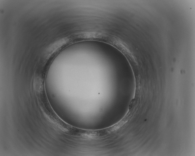 X0000085250164200703091307