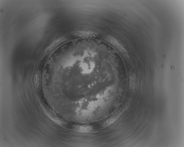 X0000085250165200703091307