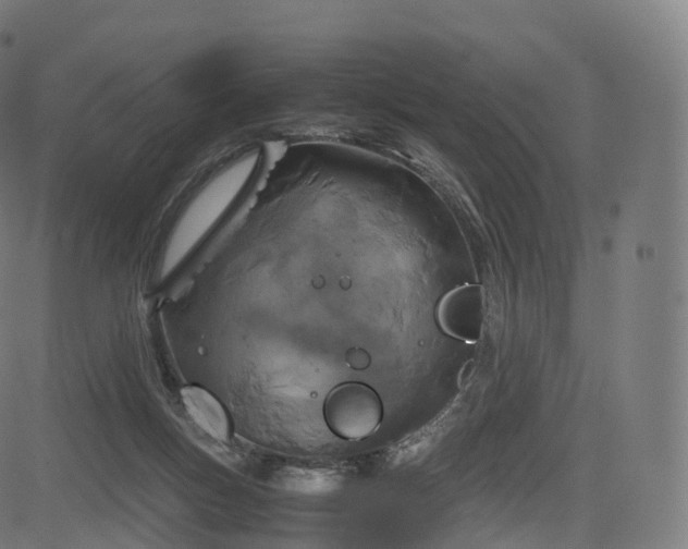 X0000085250167200703091307