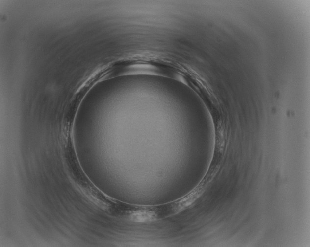 X0000085250168200703091307