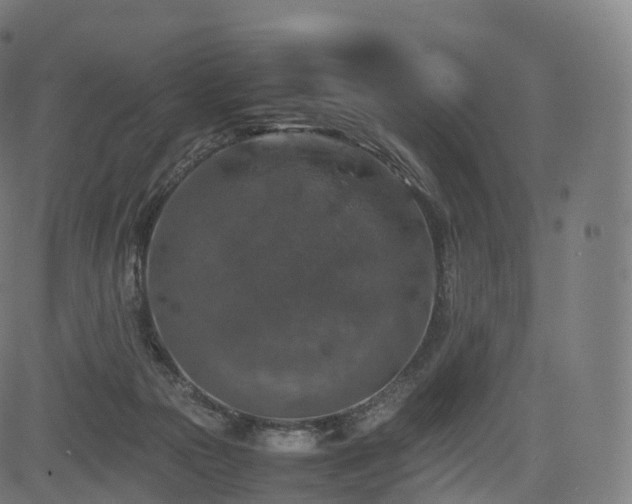 X0000085250169200703091307