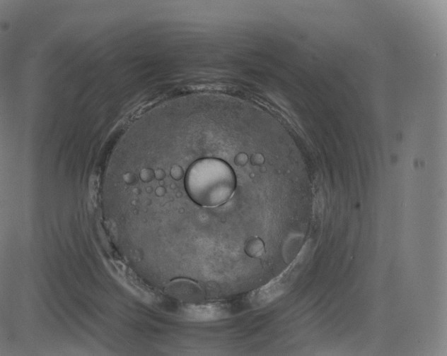 X0000085250171200703091307