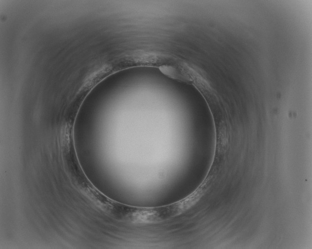 X0000085250172200703091307