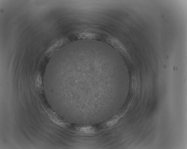 X0000085250173200703091307