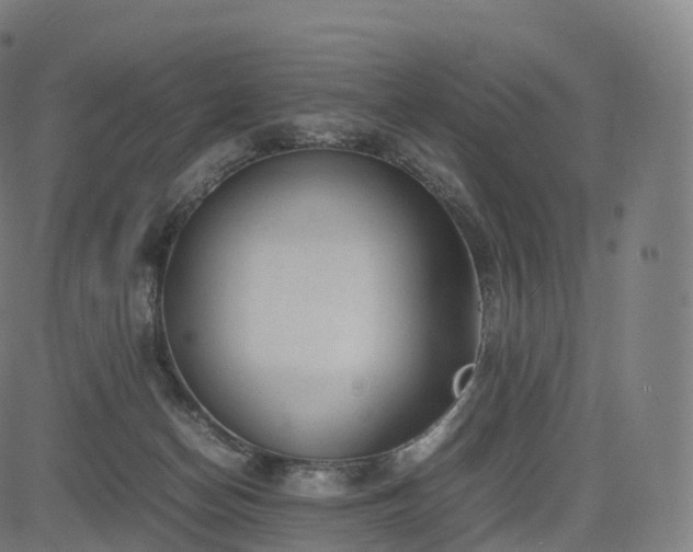 X0000085250174200703091307