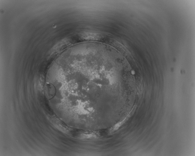 X0000085250175200703091307