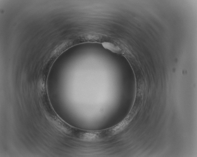 X0000085250176200703091307