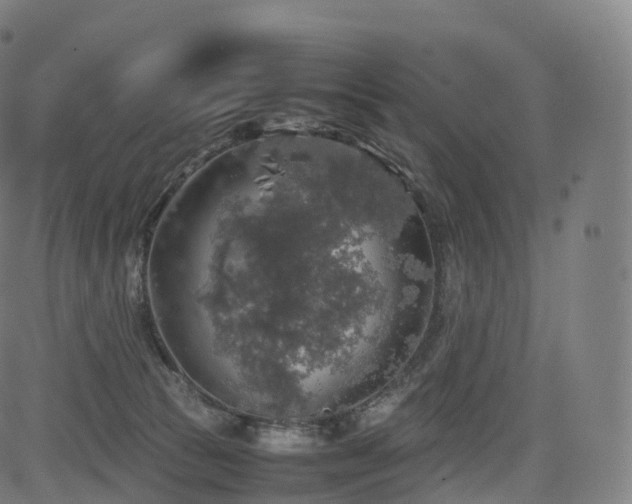 X0000085250177200703091307