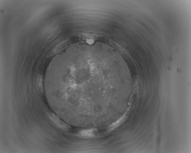 X0000085250178200703091307