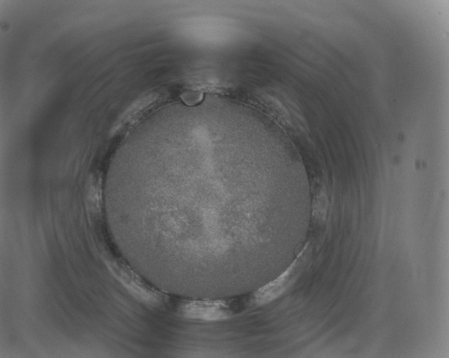 X0000085250179200703091307