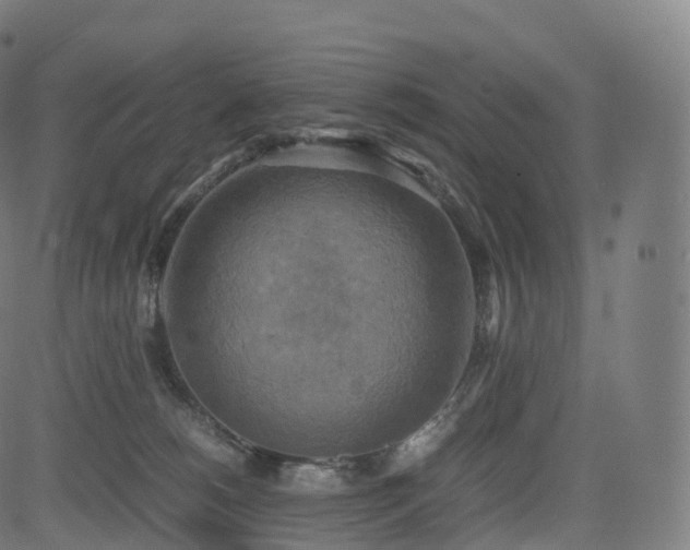 X0000085250180200703091307