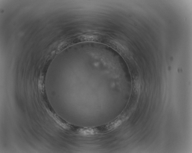 X0000085250181200703091307