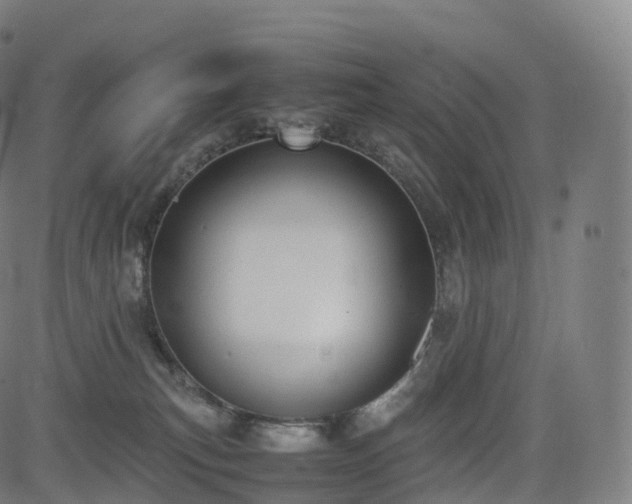 X0000085250183200703091307