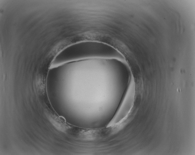 X0000085250186200703091307