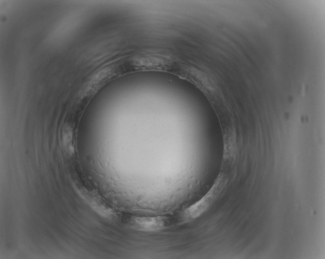 X0000085250187200703091307