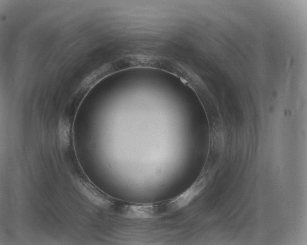 X0000085250188200703091307