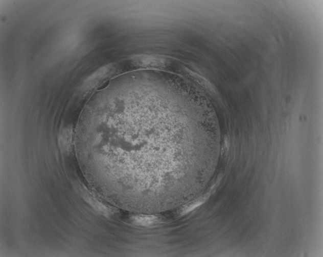 X0000085250189200703091307