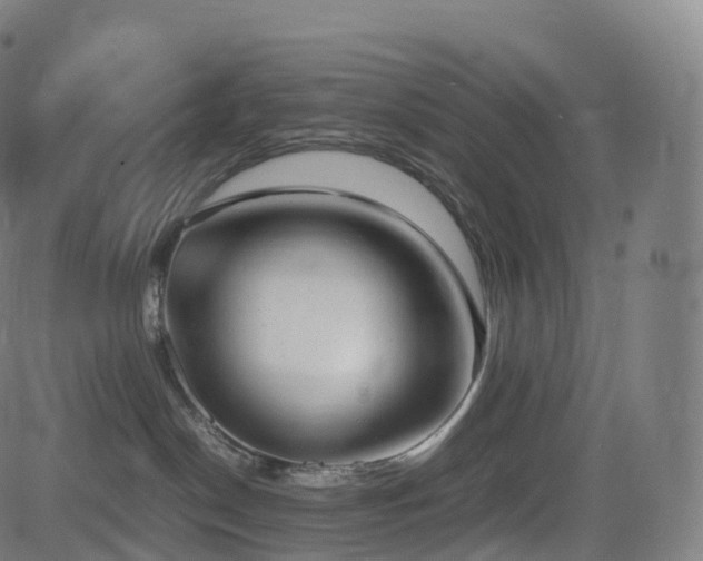 X0000085250190200703091307