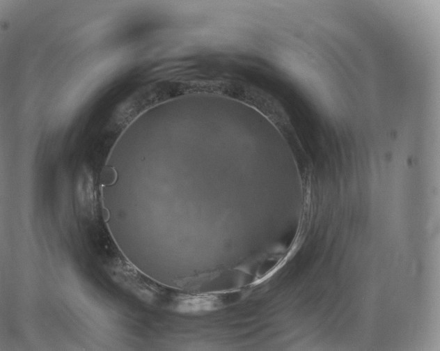 X0000085250191200703091307