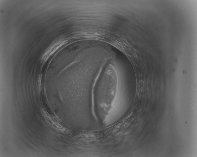 X0000085250194200703091307