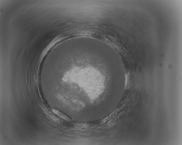 X0000085250195200703091307