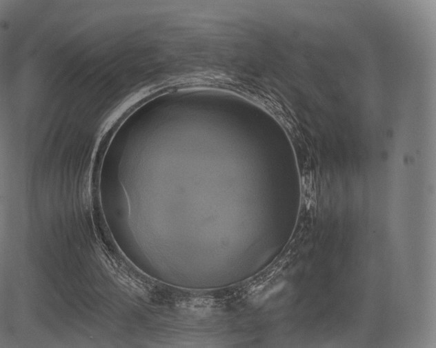 X0000085250196200703091306